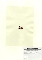 藏品(硬盾果藻)的圖片